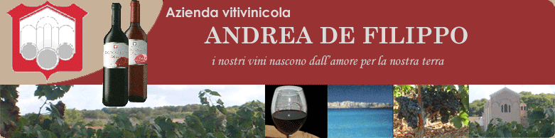 CANTINA ANDREA DE FILIPPO - I nostri vini nascono dall'amore per la nostra terra