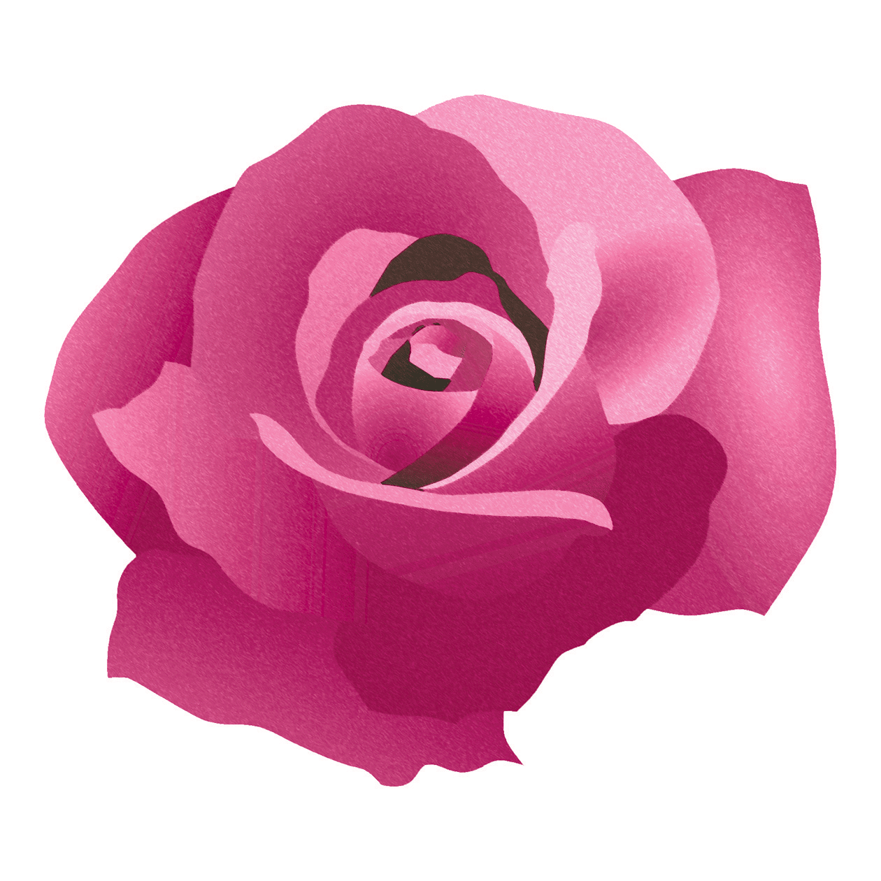Rodogallo Rose'